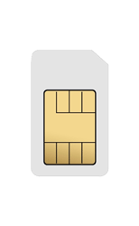 Image of sim 1